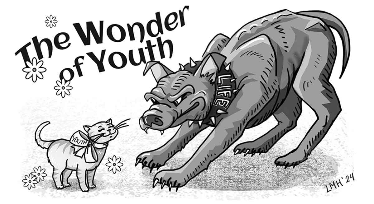 The Wonder of Youth